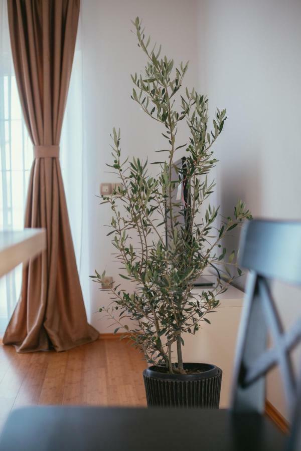 Maslina & Lavanda Daire Podstrana Dış mekan fotoğraf